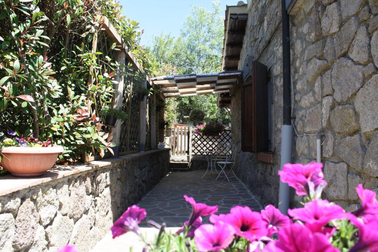 Agriturismo Biagiotti Abbadia San Salvator Exterior photo
